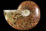 Polished, Agatized Ammonite (Cleoniceras) - Madagascar #119020-1
